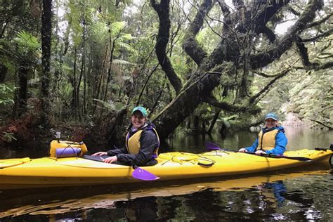 Kayaking Milford Sound Roscos Guided Kayak Tours