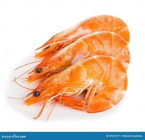 Tiger Shrimps Prawns With Isolated On A White Background Stock Image