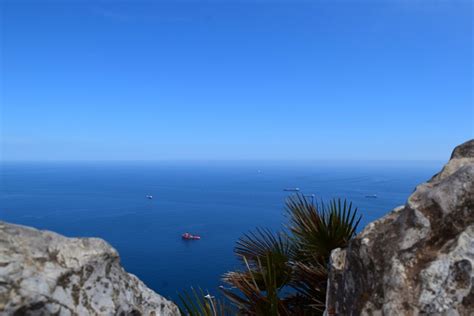 Gibraltar Spain Nature Free Photo On Pixabay Pixabay