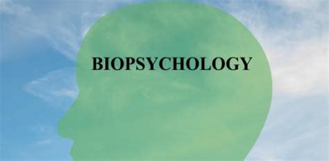 Quiz Intro To Psychology Biopsychology Attempts Trivia