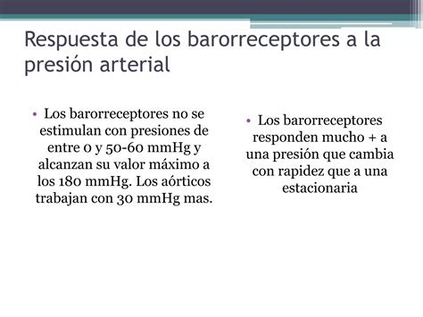 Regulación Nerviosa De La Circulación Y Control Rapido Ppt