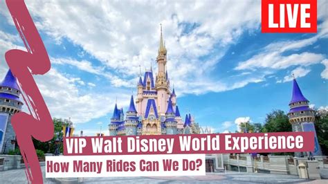 Live Walt Disney World Vip Tour Experience Magic Kingdom