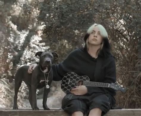 Billie Eilish Dog Shark Jamie Smith