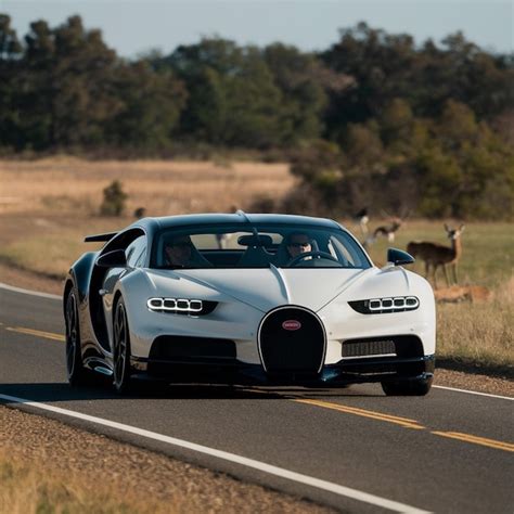 Bugatti La Voiture Noire Car And The Most Expensive Car In The World