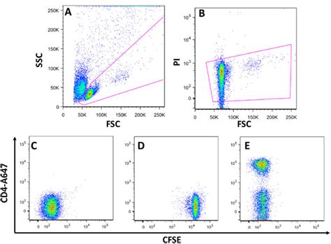 Compensation Controls And Gating Strategy For Cfse Based Proliferation