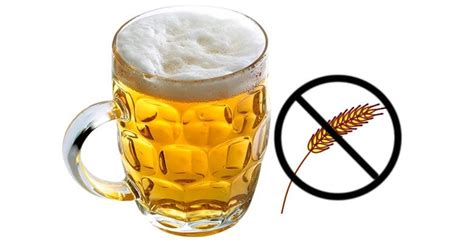 Las MEJORES cervezas Sin Gluten Listado de marcas y cómo elegir