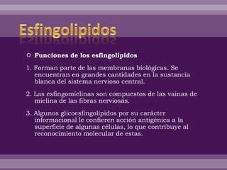 Esfingolipidos Ppt