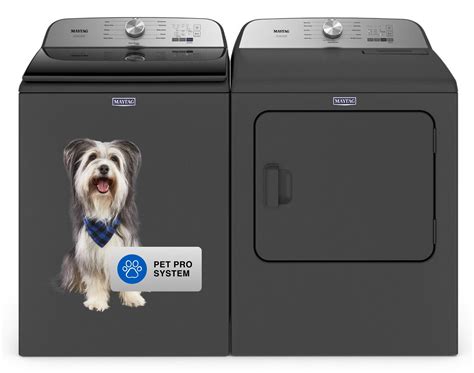 Best Washing Machines For Pet Hair At Marymdejesuso Blog