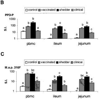 Lymphoproliferative Responses Of PBMC And MLNC Proliferative Responses