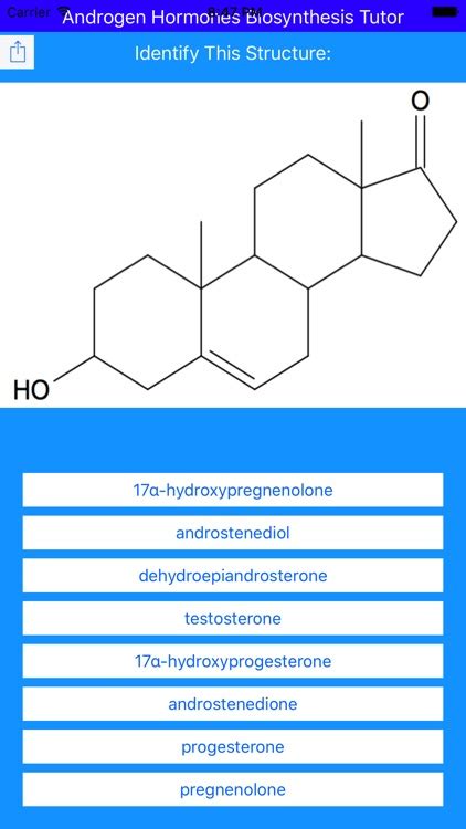 Androgen Hormones Tutor by Joseph Kodet