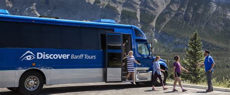 Banff Evening Wildlife Tour | Discover Banff Tours