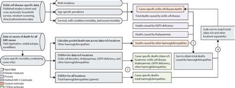 Global Regional And National Prevalence And Mortality Burden Of