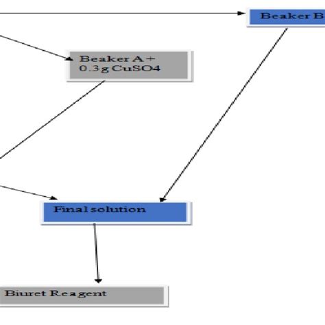 1: Flow chart showing the preparation of Biuret reagent. | Download Scientific Diagram