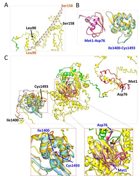 Three Dimensional Models Of Csb Predicted By I Tasser And Compared With