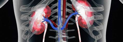 Ambulatorio Di Nefrologia Poliambulatorio Health Piacenza