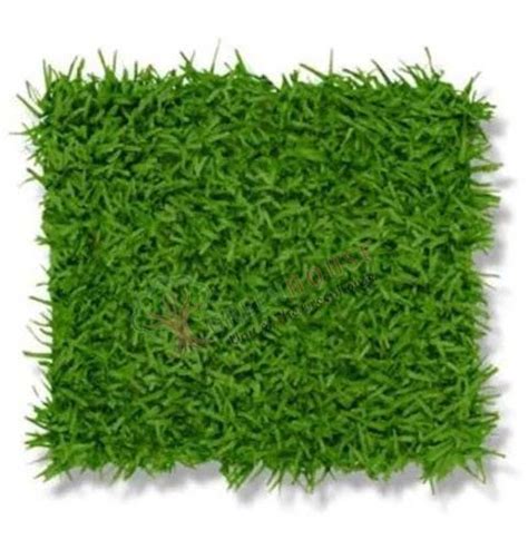 Artificial Grass Manufacturers In Hyderabad