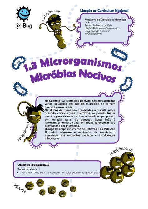 Pdf Programa De Ci Ncias Da Natureza Ano Tema Ambiente Harmf