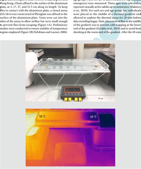 Image of (A) thermal gradient setup, and (B) thermal variation of ...