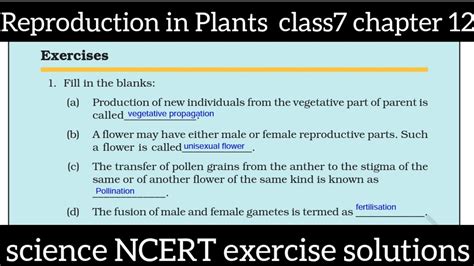 Reproduction In Plants Class 7 Chapter 12 Science Ncert Exercise