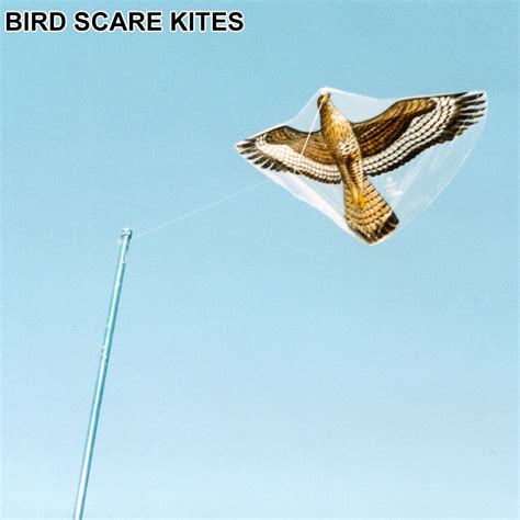 Visual Bird Scaring Devices