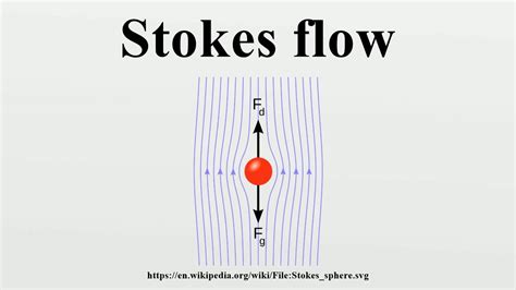 Stokes Flow Youtube