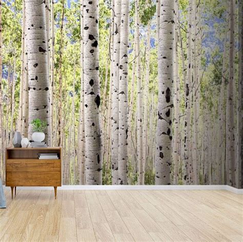 Kanworse Grove Of Aspen Trees Canvas Print Wallpaper Wall Mural Self Adhesive Peel