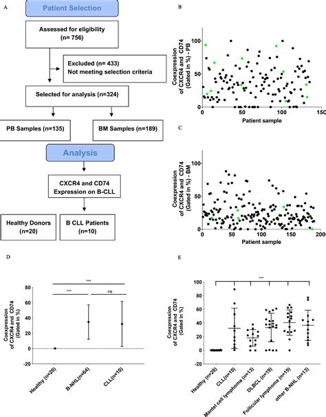 Cxcr4 And Cd74 Together Enhance Cell Survival In Response To Macrophage