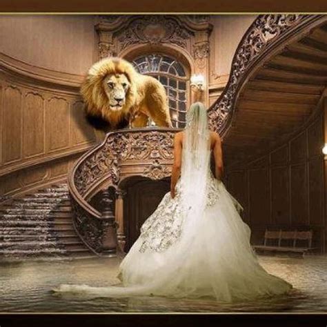 Daughter S Of Zion The Lion Of Judah And The Bride Prophetische