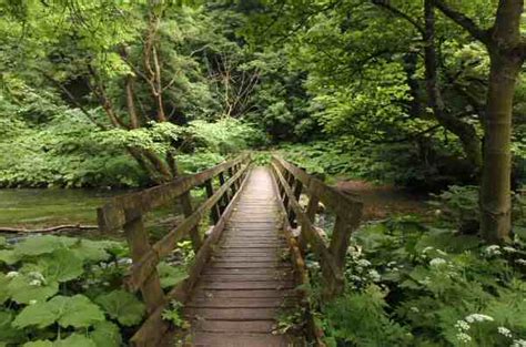 Millers Dale Walk Discover Derbyshire And The Peak District