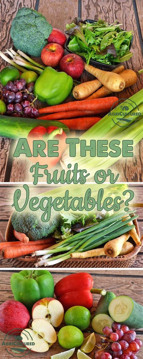 What S The Difference Between Fruits And Vegetables Fruit And Veg