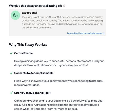 Essays That Worked - Read & Write Successful College Applications