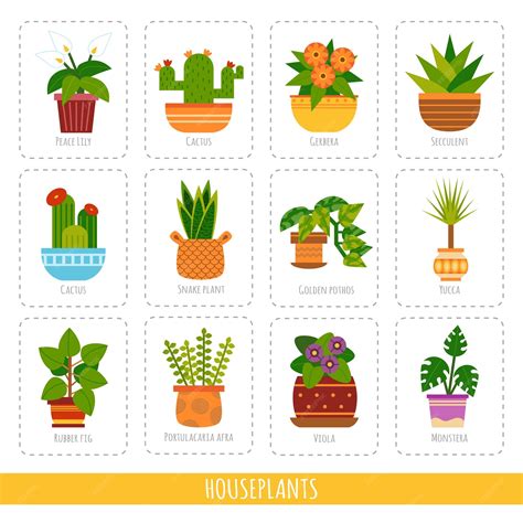 Desenho Das Plantas - Coleção de desenhos animados das plantas de casa conjunto vetorial de ...