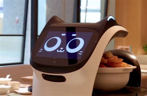 This Robot Cat Waiter Delivers Your Food Accepts Pets And Scratches As