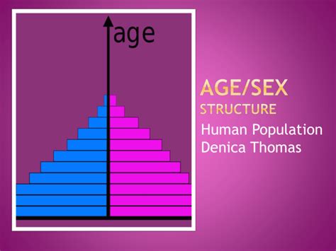 Agesex Structure Capeenvironmentalscience