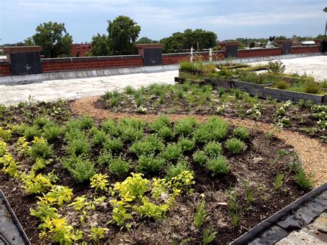 Lillstreet Art Center Green Roof Project - Greenroofs.com