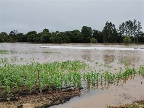 Chuvas causam perdas de R 1 6 bilhão ao agro em Santa Catarina