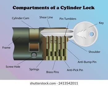 Compartments Cylinder Lock Diagram Working Principle Stock Illustration ...