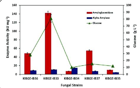 Production Of Amylolytic Enzymes And Glucose Formation By Various