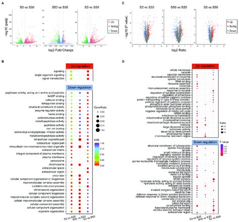 Differentially Expressed Genes Degs And Proteins Deps Identified