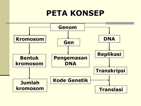 Gambar Hubungan Gen Dna Dan Kromosom Denah