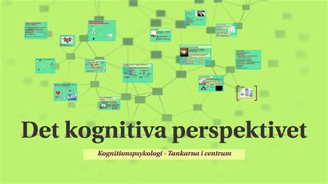 Det Kognitiva Perspektivet By Ida Carleson On Prezi