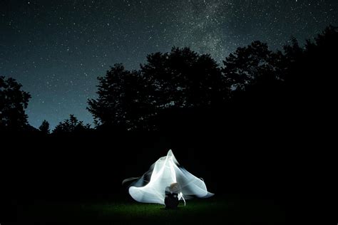 Pine Trees Under Starry Night Sky · Free Stock Photo