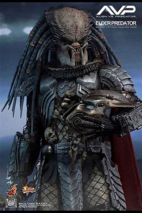 Hot Toys Alien Vs Predator MMS325 Elder Predator 1 6th Scale Collectible Figure Hobbies Toys