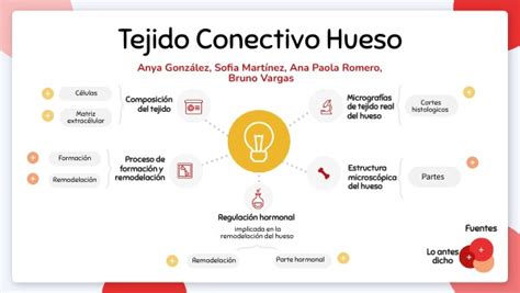 MAPA MENTAL Tejido Conectivo