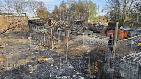 Se Incendia Albergue De Perros Y Mueren Calcinados En Silao