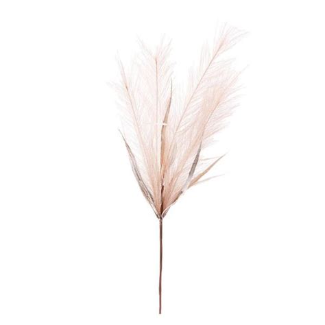 Capim Dos Pampa Nude X X Leroy Merlin