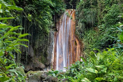 St Lucia, Diamond Falls Botanical Gardens, Soufriere, Saint Lucia