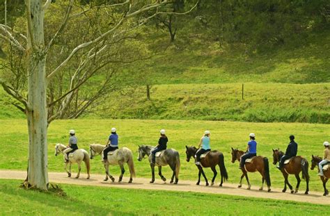 Is Worth to Go Glenworth Valley Camping?