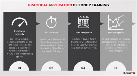 Zone 2 Training Benefits Science And How To Guide