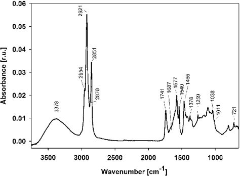 Atr Ftir Spectrum In The 4000 500 Cm −1 Mid Infrared Region Of Download Scientific Diagram